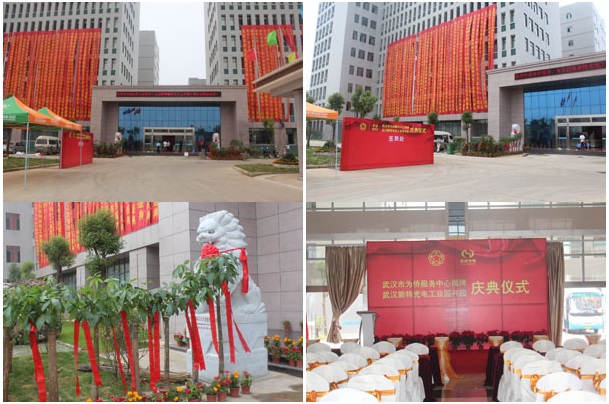 武漢新特光電工業園開園即將舉行慶典儀式