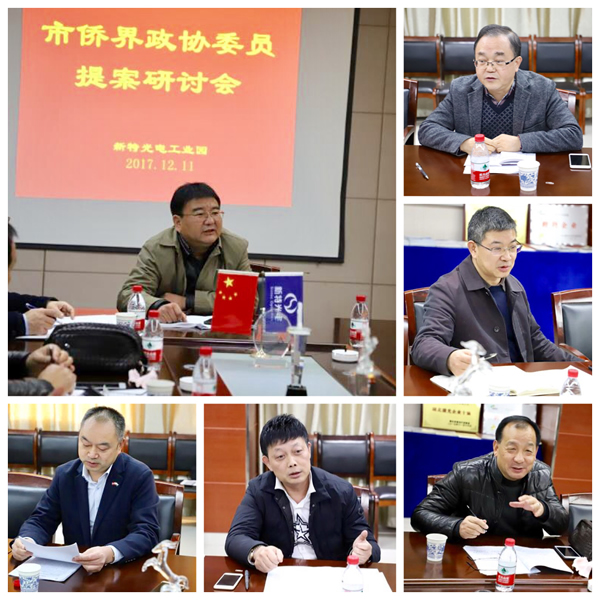 陳義紅出席武漢市僑界政協委員提案研討會