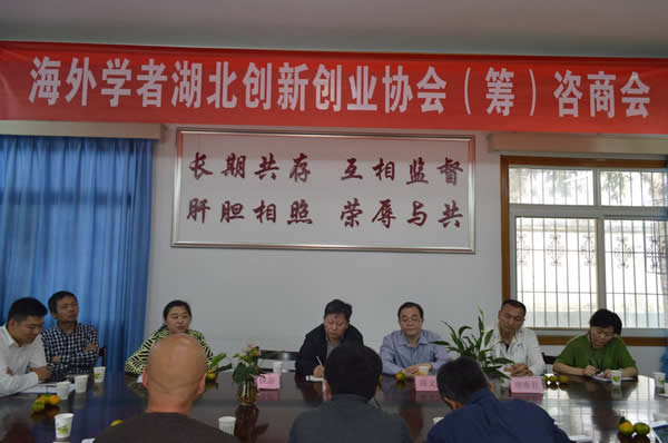 陳義紅出席海外學者湖北創新創業協會（籌）咨商會