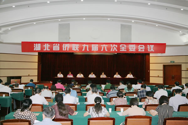 陳義紅出席湖北省僑聯九屆六次全委會議