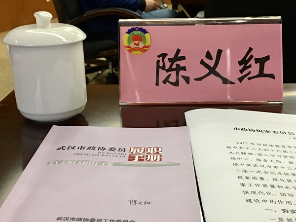 陳義紅出席武漢市政協提案委員會全委會