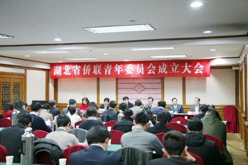 陳義紅出席湖北省僑聯青年委員會成立大會